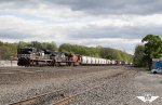 NS 1029